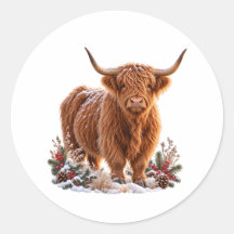 Jul Highland Ko Snöig Vinter Landsbygd