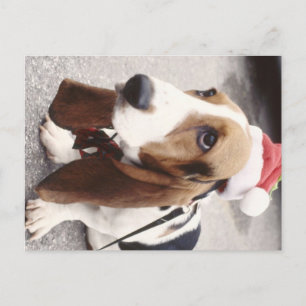 Jul Hound Helg Vykort