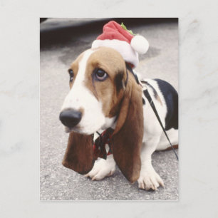 Jul Hound Helg Vykort