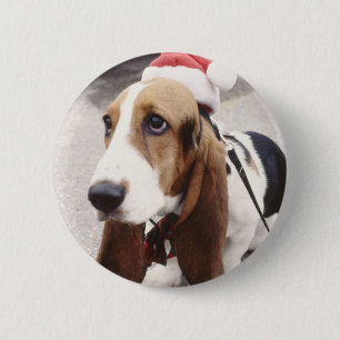 Jul Hound Knapp