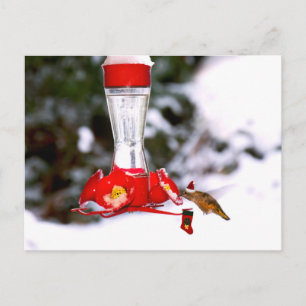 Jul Hummingbird och Snö Helg Vykort