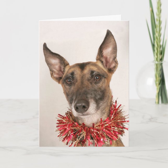 Jul Hund 1 Helgkort (Framsida)