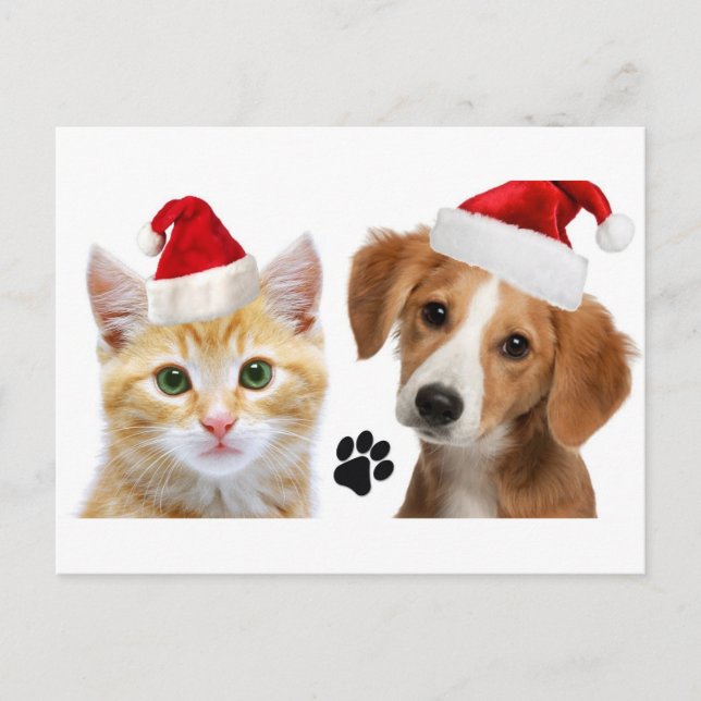 Jul Hund Cat Cute Pets Julafton Helgdag Vykort (Framsida)