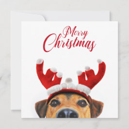 Jul Hund Cute Funny Reindeer Antler Headband Inbjudningar
