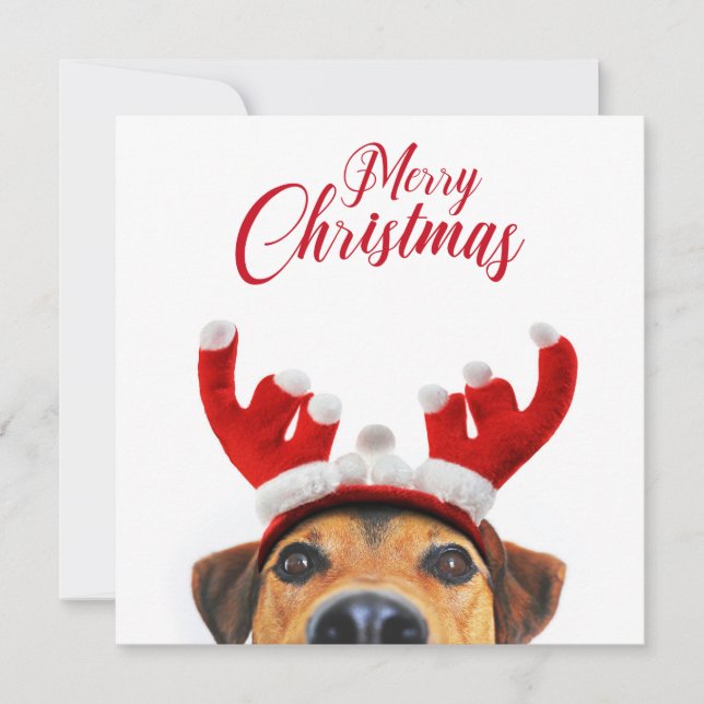 Jul Hund Cute Funny Reindeer Antler Headband Inbjudningar (Framsida)