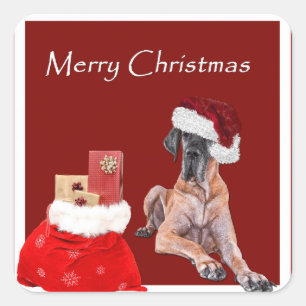 Jul Hund Great dane Fyrkantigt Klistermärke