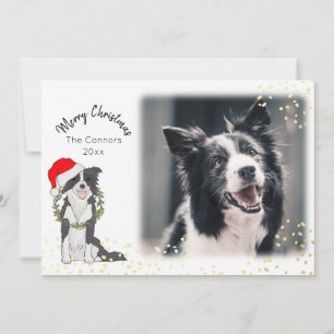 Jul Hund med Photo Gräns Collie Julkort