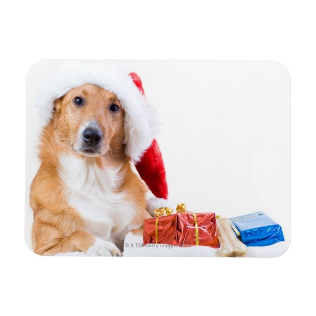 Jul-hund med skal och färggranulat magnet (Horisontell)