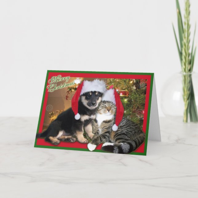 Jul-Hund och katt Helgkort (Framsida)