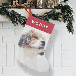 Jul Hund Photo | Modern Snyggt Red Pet Liten Julstrumpa