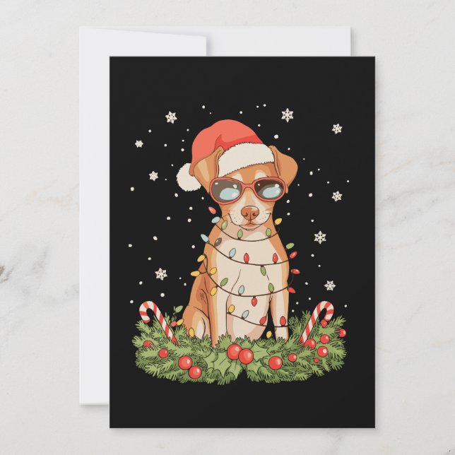 Jul Hund Pinscher Xmas Tomte Hatt Semester Julkort (Framsida)