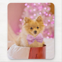 Jul Hund Puppy Gift presenterat