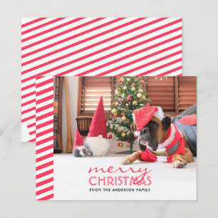 Jul Hund Red Rand Julkort