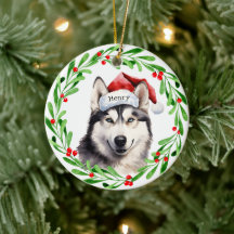 Jul Hund Santa Hat Helgdag