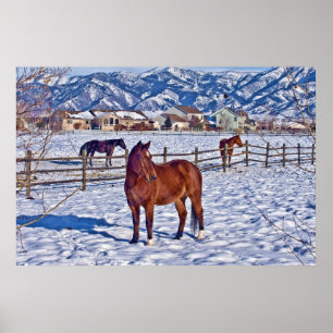 Jul i Bozeman Montana Poster