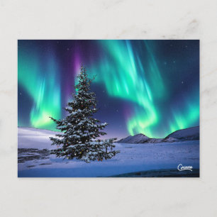 Jul i norra Ljuset - vykort