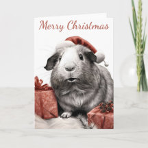 Jul i Santa Guinea Gris