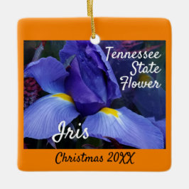 Jul i Tennessee State Flower Iris Julgransprydnad Keramik
