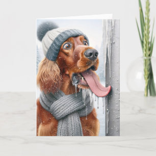 Jul Irish Setter Hund Slickande en frusen pola Helgkort
