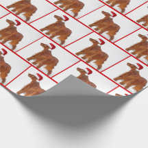 Jul Irish Setter i snö