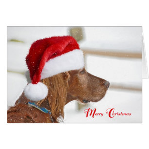 Jul Irish Setter i snöflingor Hälsningskort