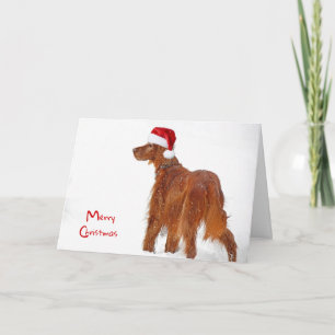 Jul Irish Setter i snöflingor Kort