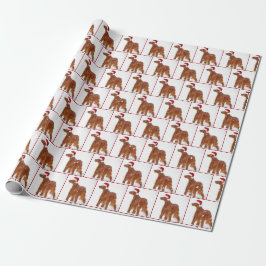 Jul Irish Setter Presentpapper