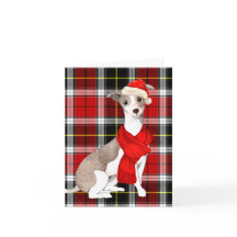 Jul Italienska Greyhound och Helgdag Play