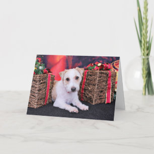 Jul - Jack Russell - Wiley Helgkort