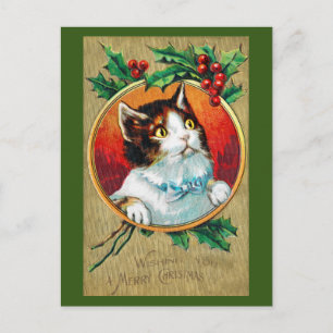Jul, Julafton Cat Vykort