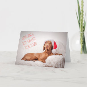 Jul / Julkort "Magyar Vizsla" Kära Tomte Helgkort