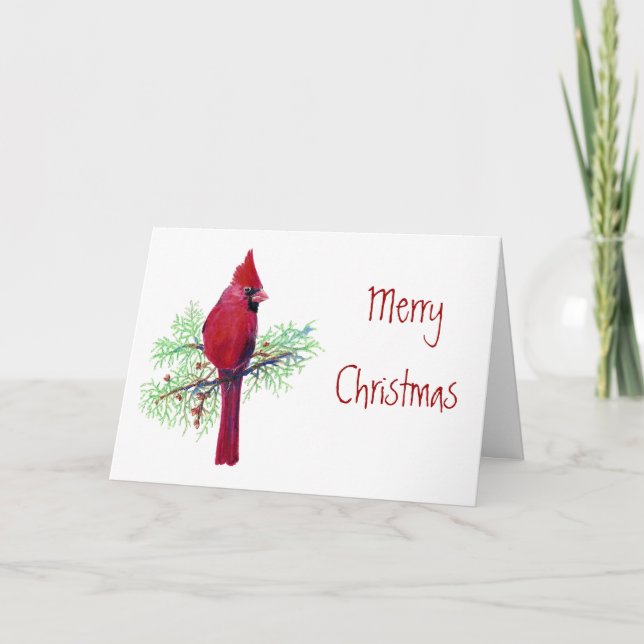 Jul, kardinal, Bird, Birder Nature, Wildlife Helgkort (Framsida)