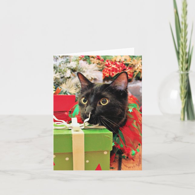 Jul - Katt - Bentley Helgkort (Framsida)