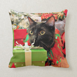 Jul - katt - Bentley Kudde