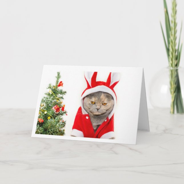 Jul - Katt Helgkort (Framsida)