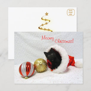 Jul - Katt/Kitten vykort