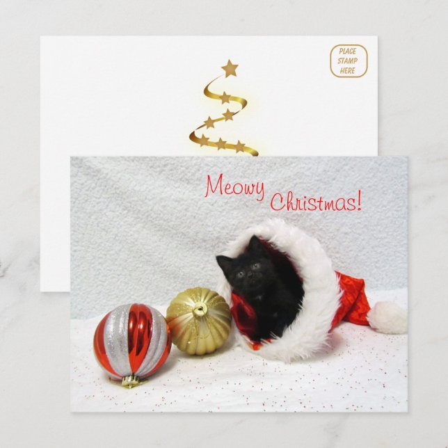 Jul - Katt/Kitten vykort (Fram/baksida)