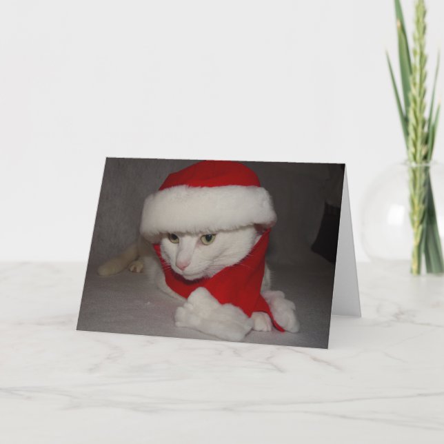 Jul Kattunge Helgkort (Framsida)