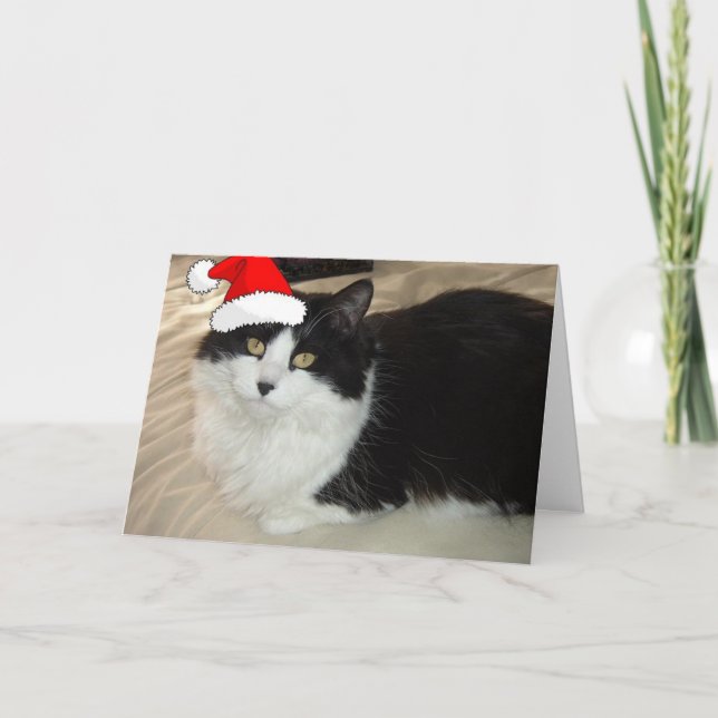 Jul Kattunge Helgkort (Framsida)