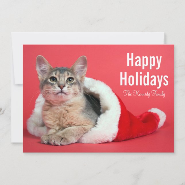Jul kattunge julkort (Framsida)