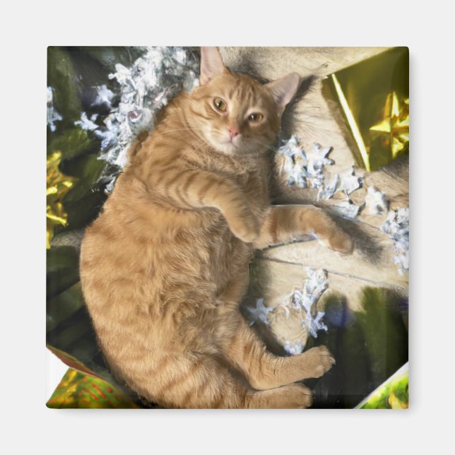 Jul Kattunge Magnet (Framsidan)