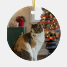 Jul Kattunge Ornament