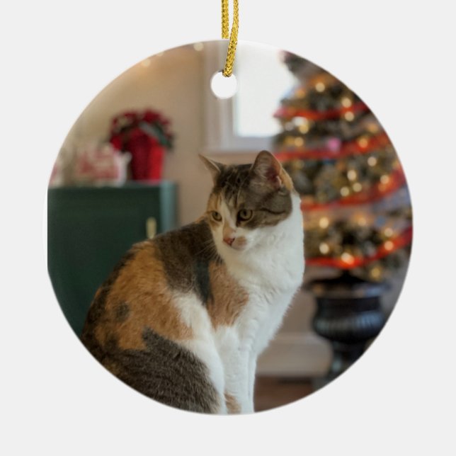 Jul Kattunge Ornament (Framsidan)