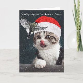 Jul Kattunge "Tittar fram till jul" Helgkort