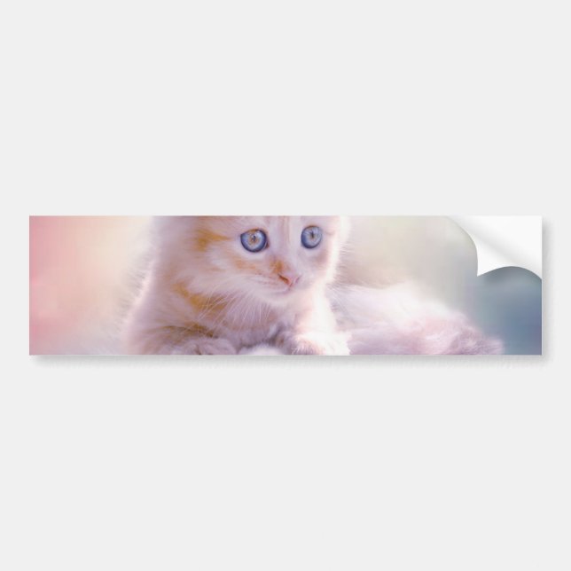 Jul Kitten Bildekal (Framsidan)