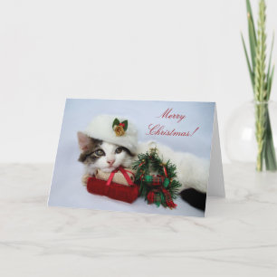 Jul Kitten Card Helgkort