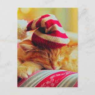 Jul Kitten Helg Vykort