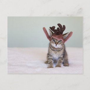 Jul Kitten Helg Vykort