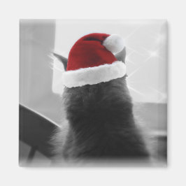 Jul Kitten Magnet