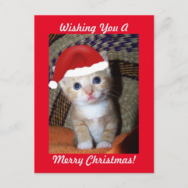 Jul Kitten Postcard Helg Vykort (Framsida)